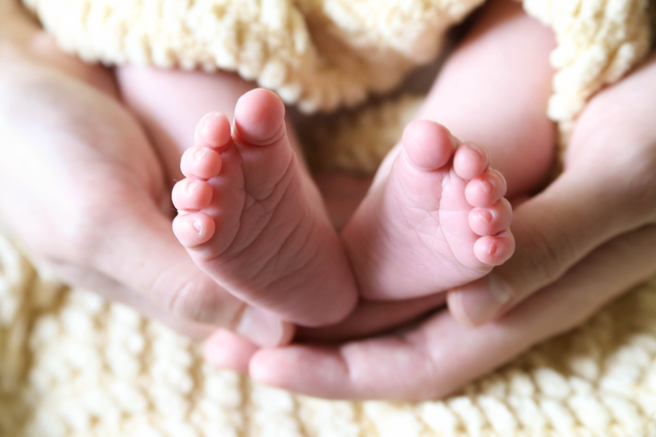 When To Book Your Newborn Photoshoot  -Tallahassee Newborn Photography-